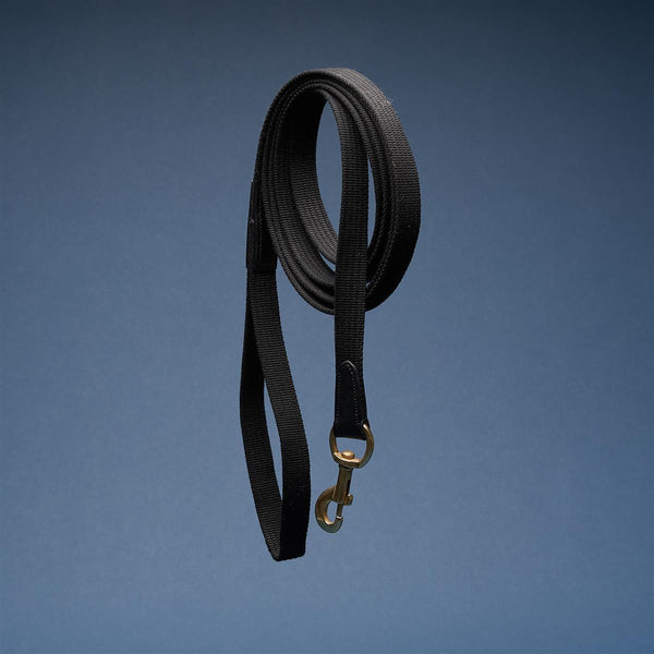 Horsecode Halfter Black Gold WB