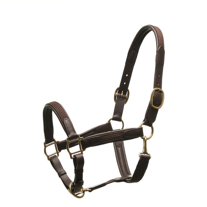 Horsecode Halfter brown Gold WB