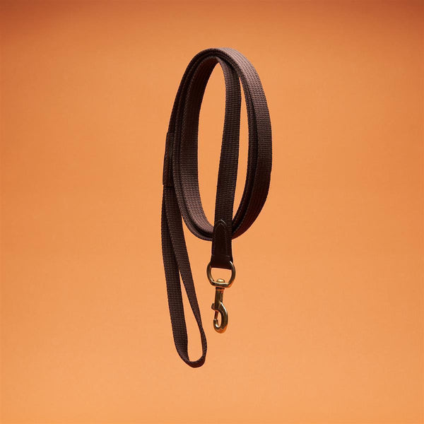 Horsecode Halfter brown Gold WB