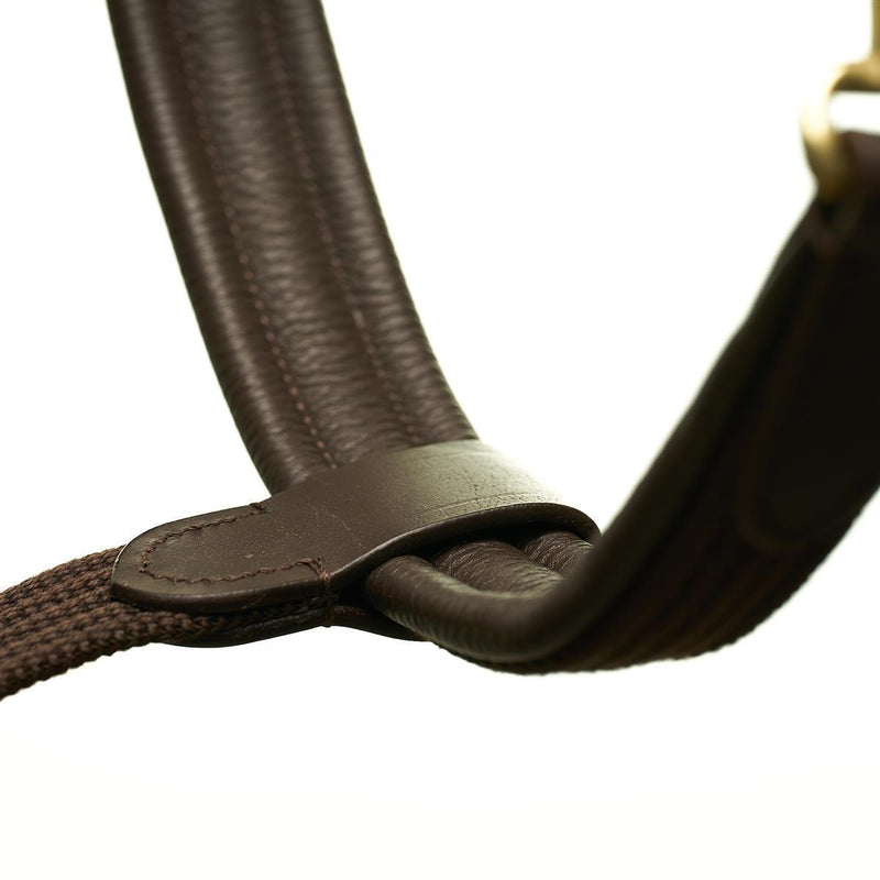 Horsecode Halfter brown Gold WB