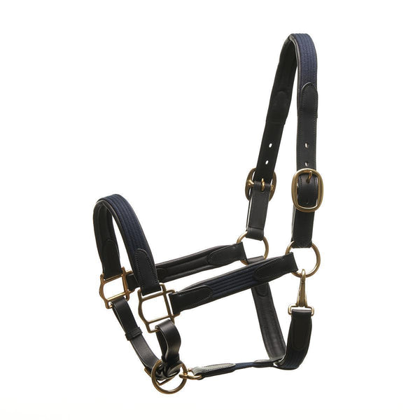 Horsecode Halfter Navy Gold VB
