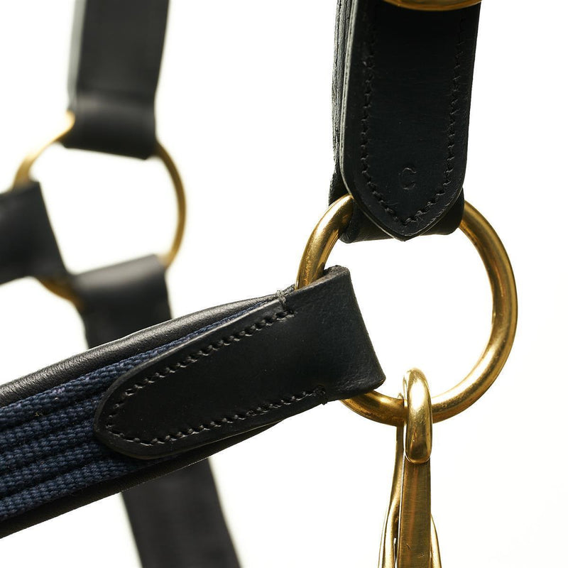 Horsecode Halfter Navy Gold VB