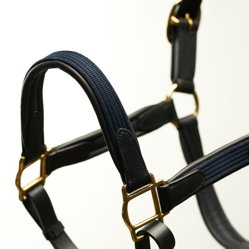 Horsecode Halfter Navy Gold WB
