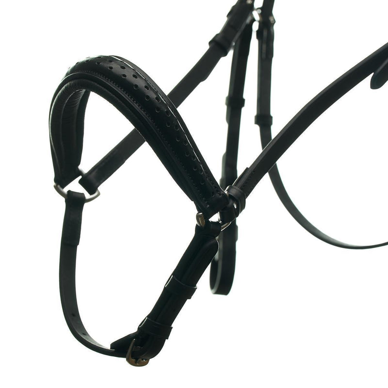 Horsecode Trense black budapest H Kaltblut