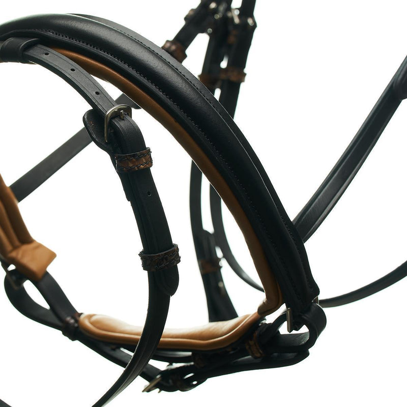 Horsecode Trense Cobra warmblut