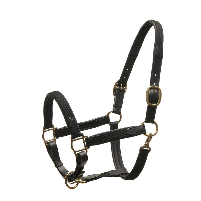 Horsecode Halfter Black Gold VB