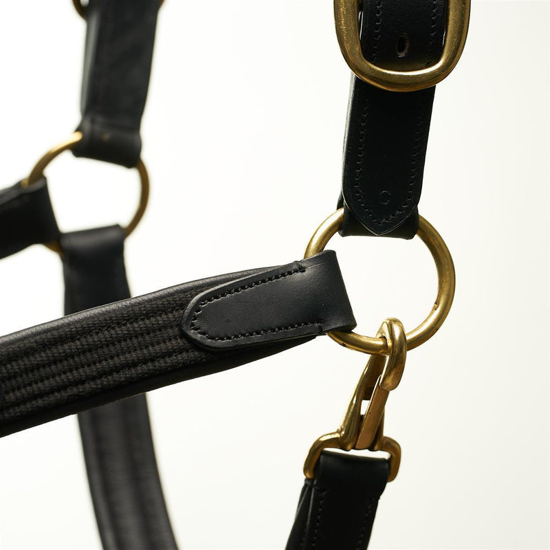 Horsecode Halfter Black Gold VB