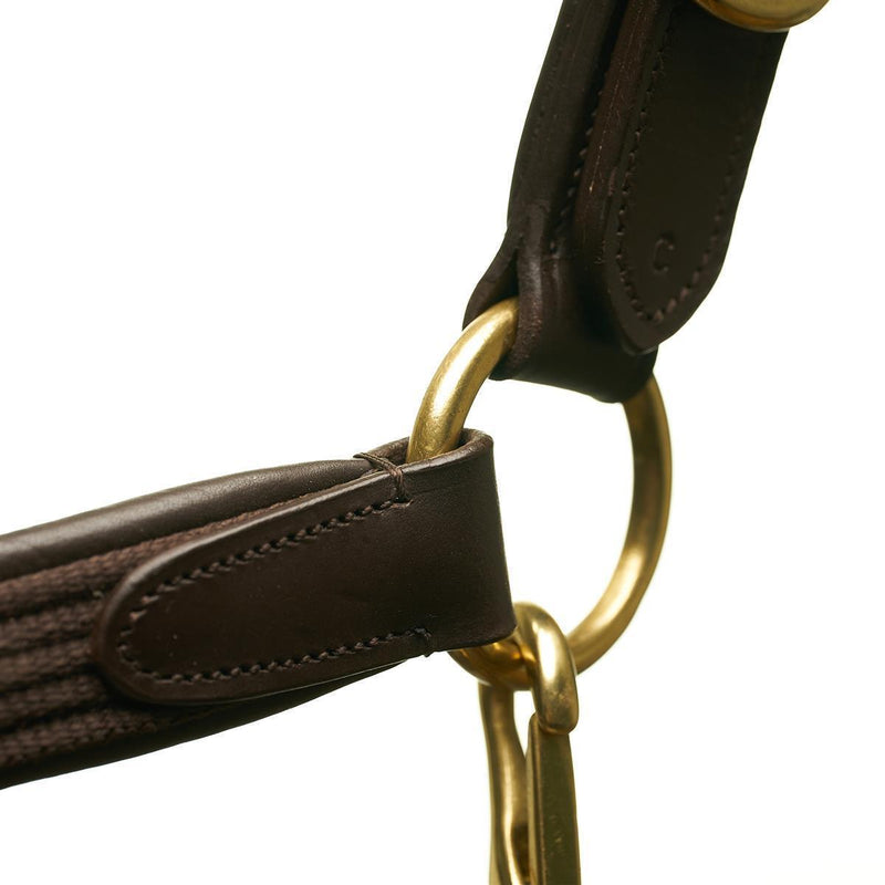 Horsecode Halfter brown Gold VB