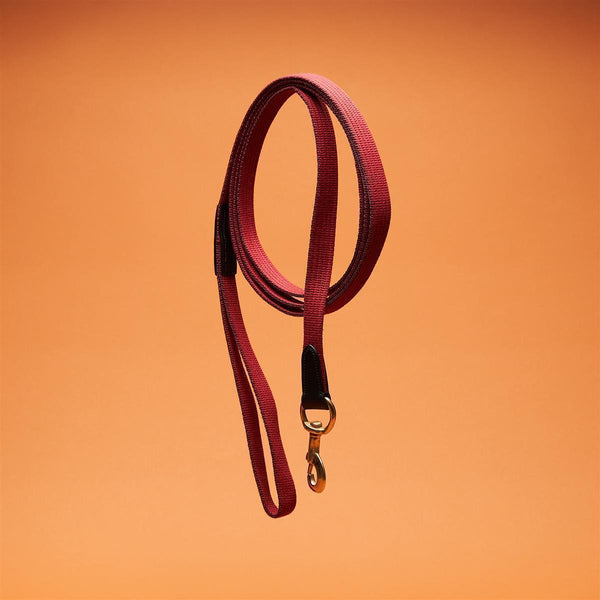 Horsecode Halfter Burgundy Gold VB