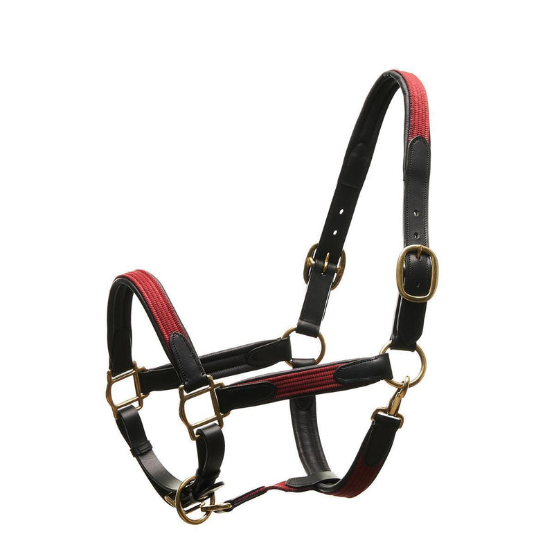 Horsecode Halfter Burgundy Gold VB