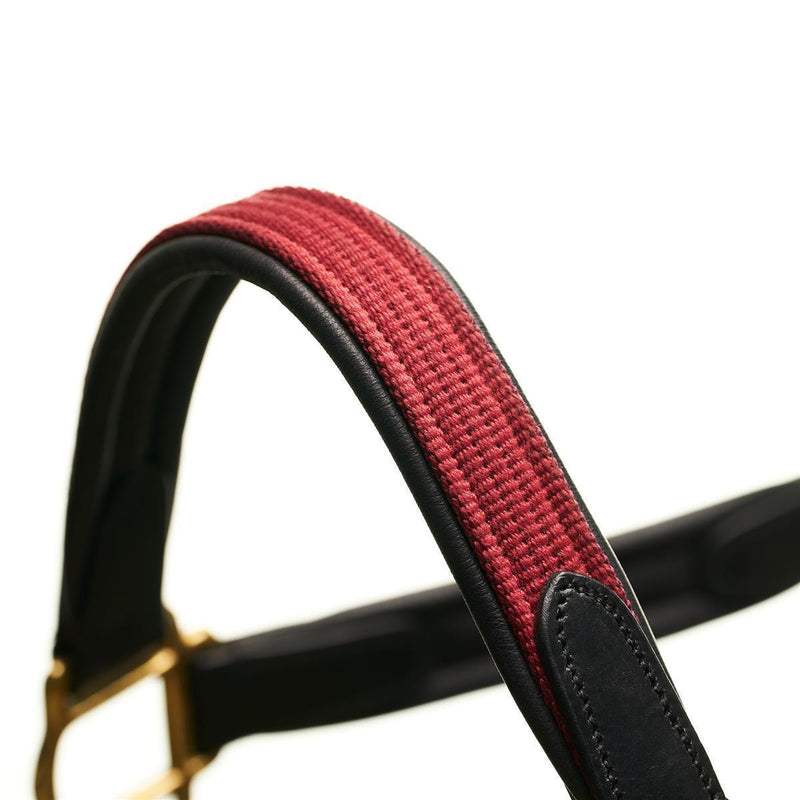 Horsecode Halfter Burgundy Gold VB