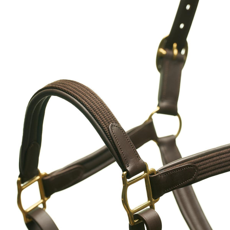 Horsecode Halfter brown Gold VB