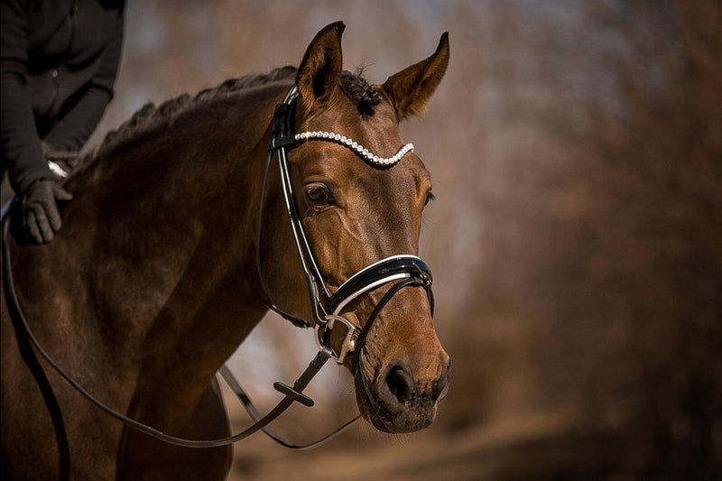 Horsecode Trense Moonlight diamond W Warmblut