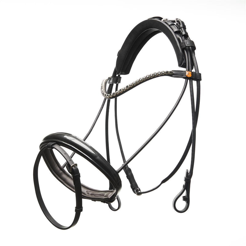 Horsecode Trense Graphite Star Warmblut