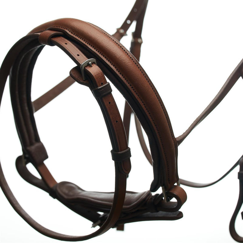 Horsecode Trense Caramel & Ocean Vollblut