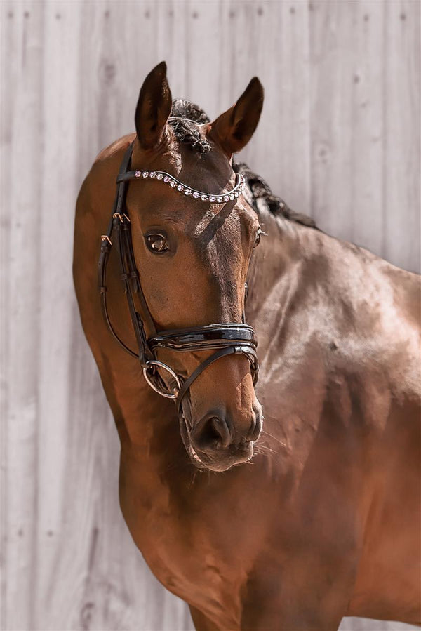 Horsecode Trense brown Magic Warmblut